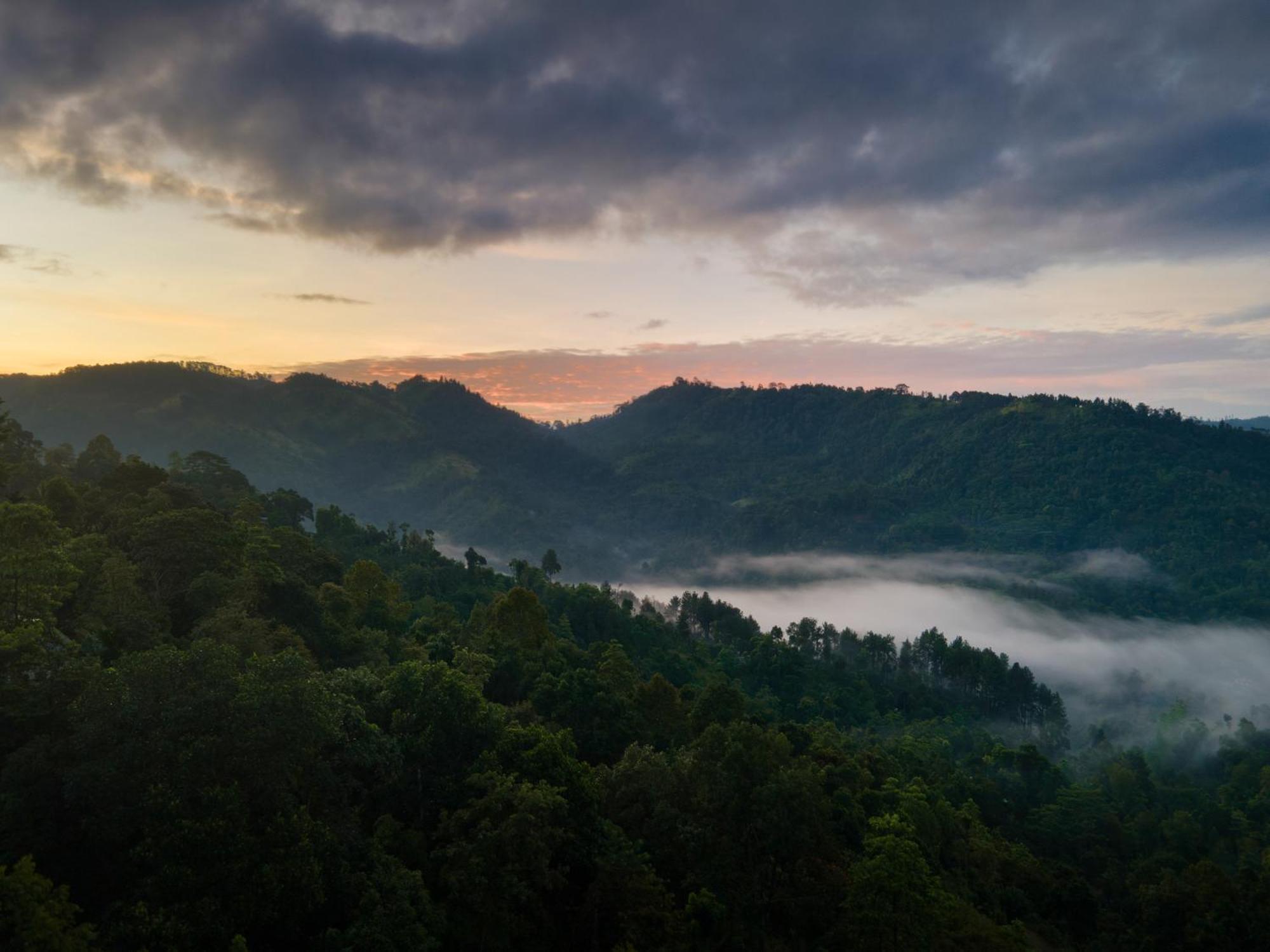 Mount Havana Kandy Exteriér fotografie